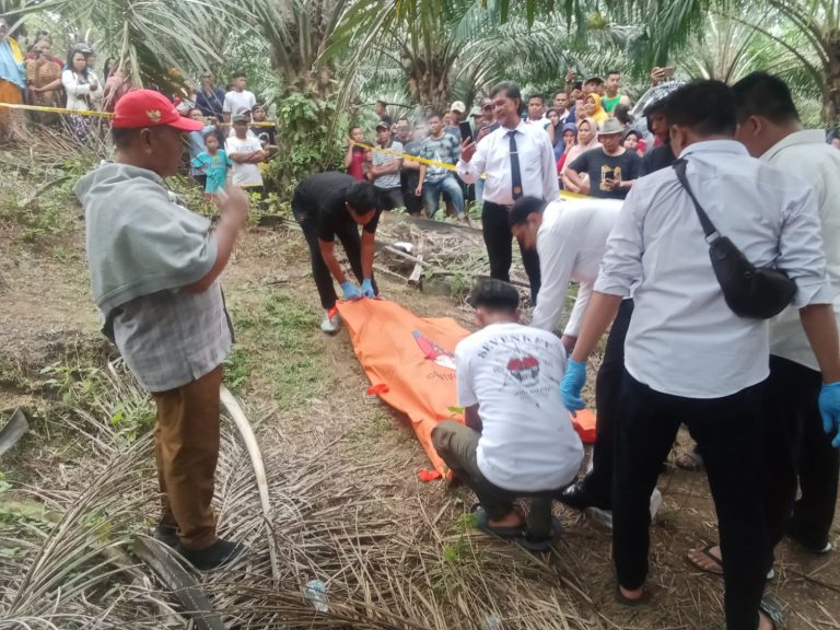 Polsek Bangun dan Tim Inafis Polres Simalungun Evakuasi Temuan Mayat di Perkebunan Sawit Kebun&nbsp;Laras